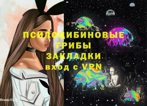 тгк Богданович